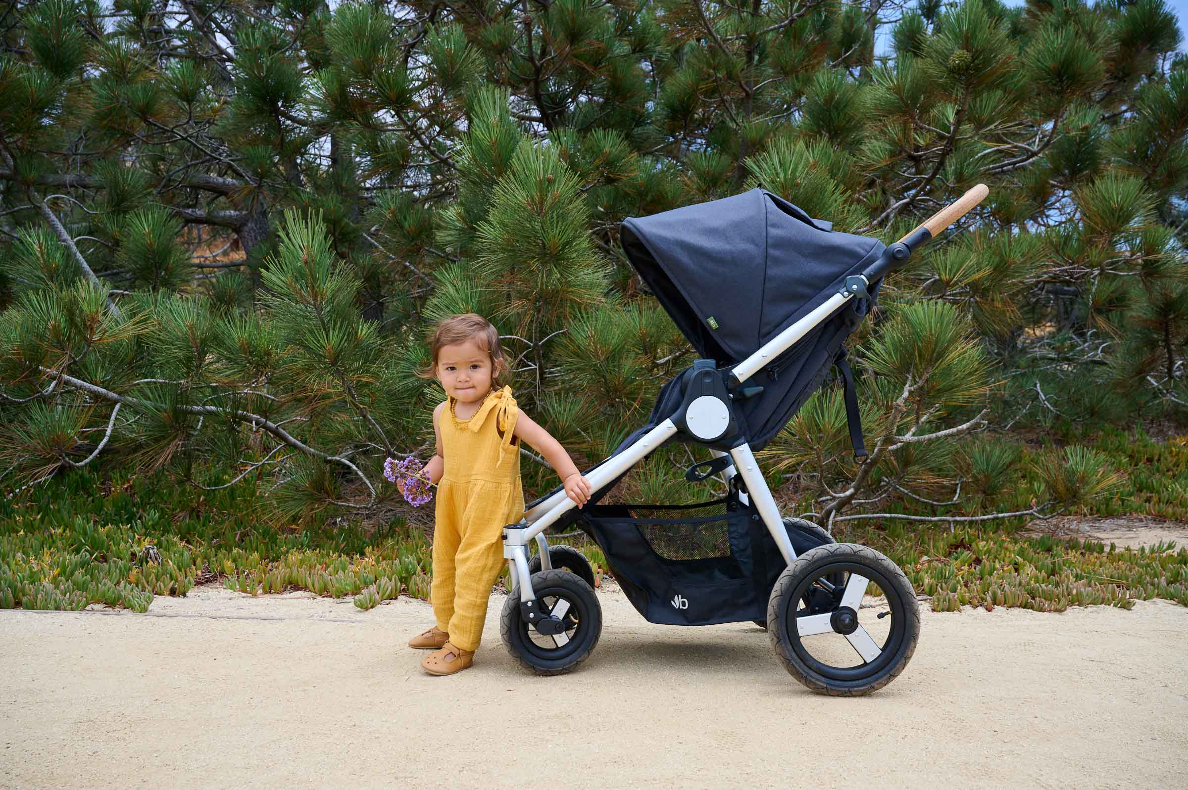 Reversible pram australia top
